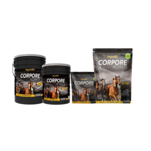 Corpore Potros