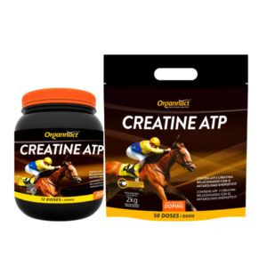 Creatine Atp